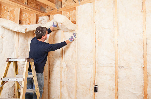 Best Radiant Barrier Insulation  in Fowler, IN