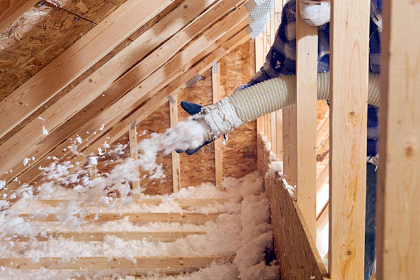 Best Attic Insulation Installation  in Fowler, IN